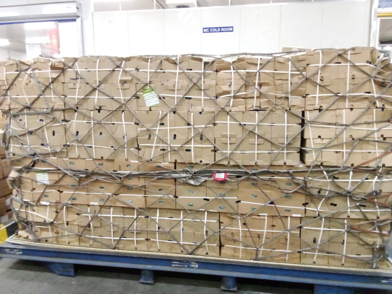 International Shipping