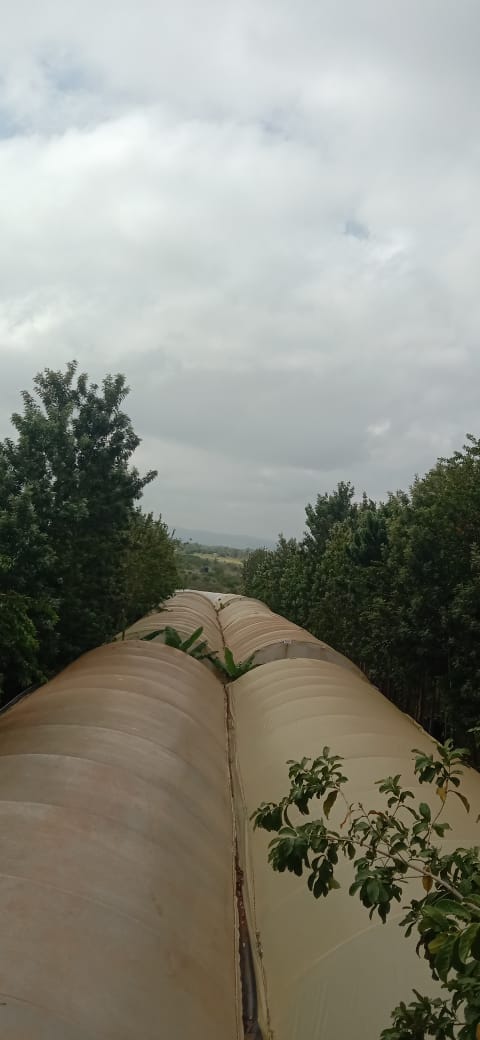 90% Solar Powered Sustainable Farming