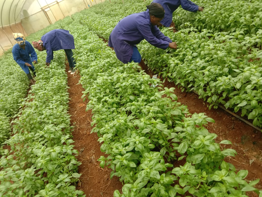 Growing Communities Together